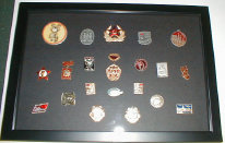 Soviet Union Hat Pin collection